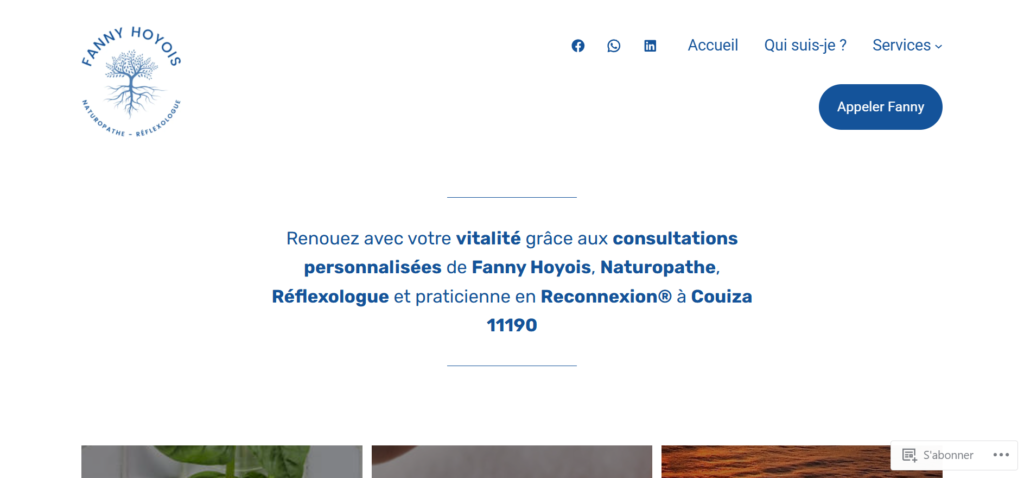 Page d’accueil du tout premier site sur lequel j’ai travaillé le référencement local