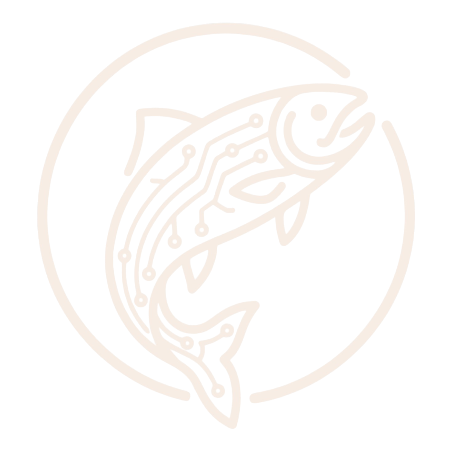 Web Saumon